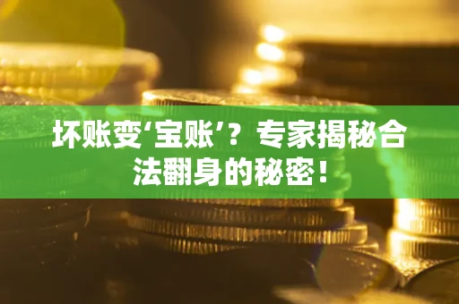 济南坏账变‘宝账’？专家揭秘合法翻身的秘密！