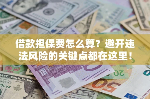 济南借款担保费怎么算？避开违法风险的关键点都在这里！