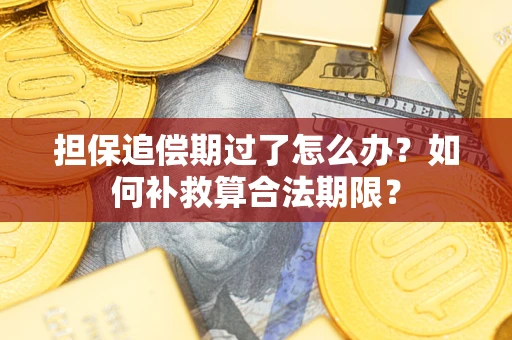 济南担保追偿期过了怎么办？如何补救算合法期限？