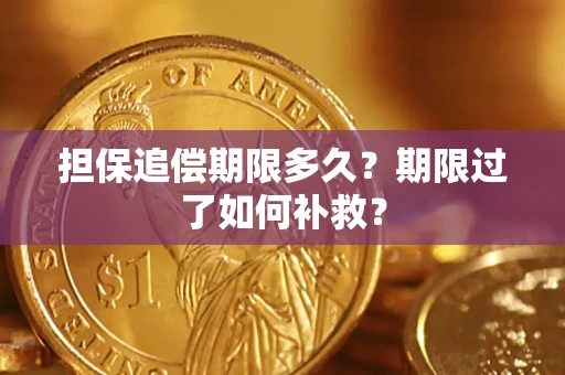 济南担保追偿期限多久？期限过了如何补救？