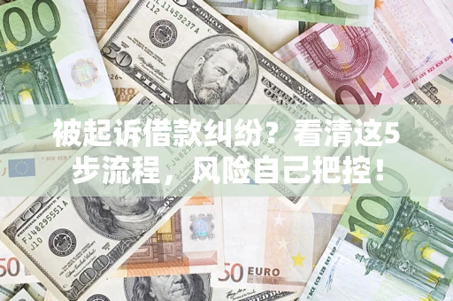 济南被起诉借款纠纷？看清这5步流程，风险自己把控！
