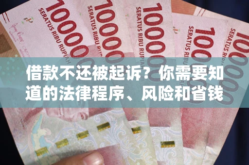 济南借款不还被起诉？你需要知道的法律程序、风险和省钱技巧