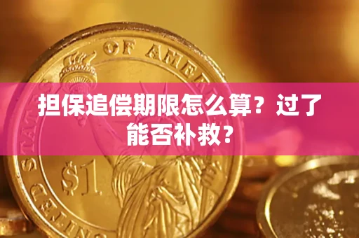 济南担保追偿期限怎么算？过了能否补救？